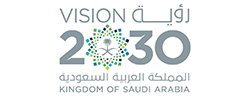 vision partner logo